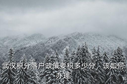 武漢積分落戶通過后手續(xù)怎么辦,武漢積分落戶政策要積多少分