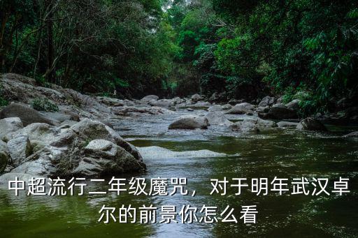 武漢卓爾08年怎么退出中超聯賽,那武漢卓爾會還退出聯賽嗎