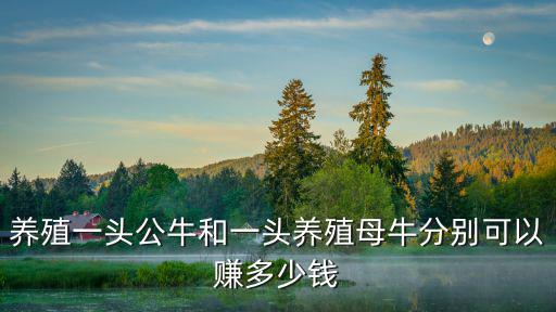 養殖一頭公牛和一頭養殖母牛分別可以賺多少錢
