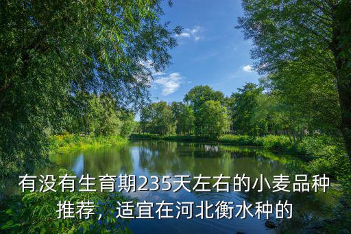有沒有生育期235天左右的小麥品種推薦，適宜在河北衡水種的