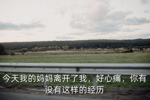 武漢我沒媽媽了我該怎么辦,今天我的媽媽離開了我
