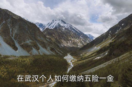 在武漢個(gè)人如何繳納五險(xiǎn)一金