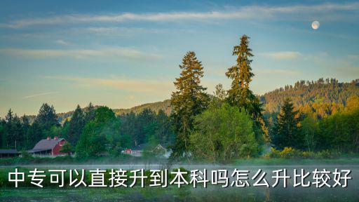 中專可以直接升到本科嗎怎么升比較好
