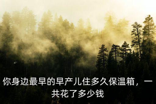 洛陽婦幼保健院保溫箱一天多少錢,嬰兒放在保溫箱一天多少錢