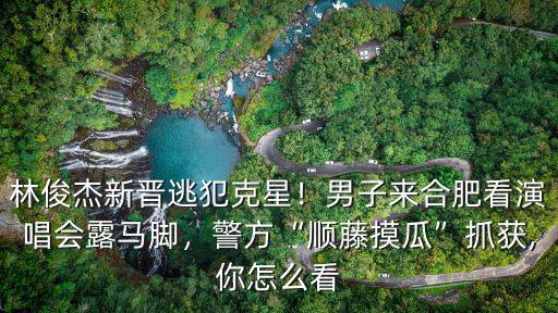 林俊杰新晉逃犯克星！男子來合肥看演唱會露馬腳，警方“順藤摸瓜”抓獲,你怎么看