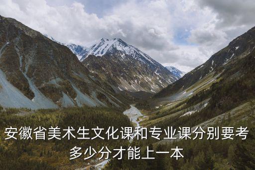 安徽省美術(shù)生文化課和專業(yè)課分別要考多少分才能上一本