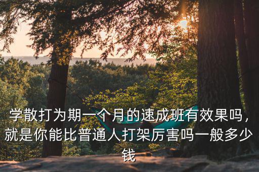 蕪湖學散打多少錢,如何學習散打