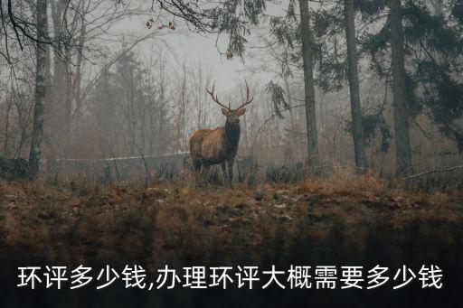 廊坊環評多少錢,辦理環評大概需要多少錢