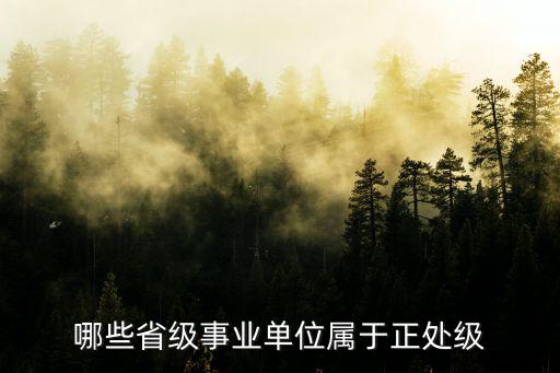 河北省多少個正處級干部,一個省有多少位省級干部