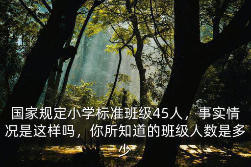 合肥小學一個班標準多少人,國家規定小學標準班級45人