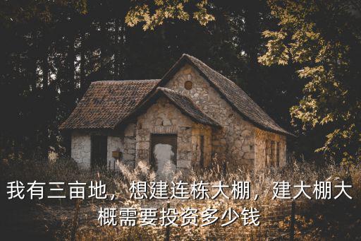 蕪湖連棟溫室大棚多少錢,建大棚大概需要投資多少錢