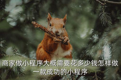 滄州小程序開發要花多少錢,小程序開發需要多少錢