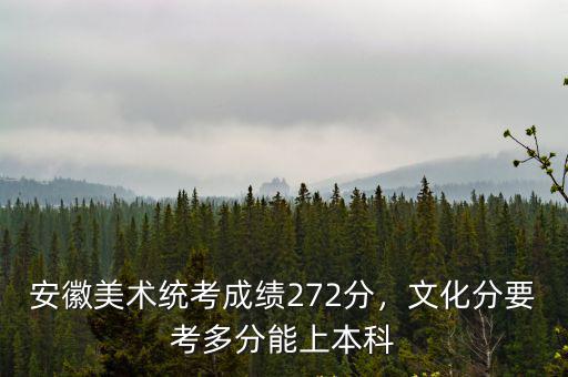 安徽美術(shù)生聯(lián)考220分文化課要考到多少分,安徽省美術(shù)統(tǒng)考222分
