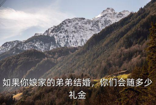 如果你娘家的弟弟結婚，你們會隨多少禮金