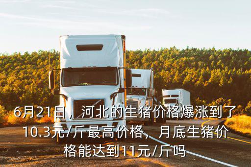 今日育肥豬價(jià)格河北價(jià)格多少,肥豬價(jià)格終于保持平穩(wěn)