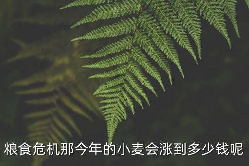 糧食危機(jī)那今年的小麥會(huì)漲到多少錢呢
