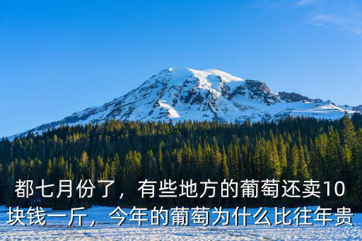 都七月份了，有些地方的葡萄還賣10塊錢一斤，今年的葡萄為什么比往年貴