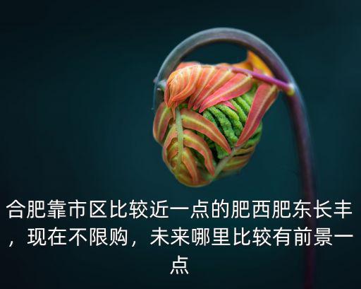 合肥的主城區有多少,合肥為何只有4個區