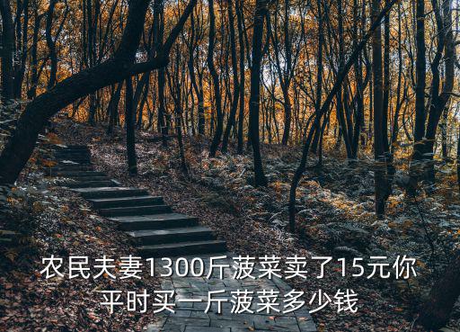 農(nóng)民夫妻1300斤菠菜賣了15元你平時(shí)買一斤菠菜多少錢