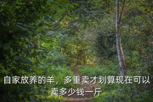 自家放養的羊，多重賣才劃算現在可以賣多少錢一斤