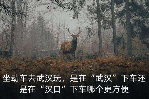 在武漢怎么坐動車,坐動車去武漢玩