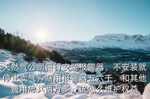 天然氣公司強行安裝報警器，不安裝就停止賣氣，商用報警器五六千，和其他費用總共兩萬多，該怎么維護權益