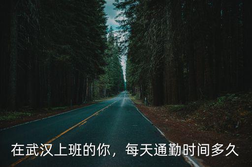 在武漢上班的你，每天通勤時間多久