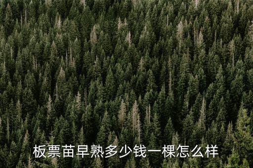 河北板栗苗一株多少錢,板票苗早熟多少錢一棵