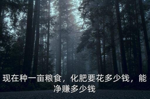 現(xiàn)在種一畝糧食，化肥要花多少錢，能凈賺多少錢