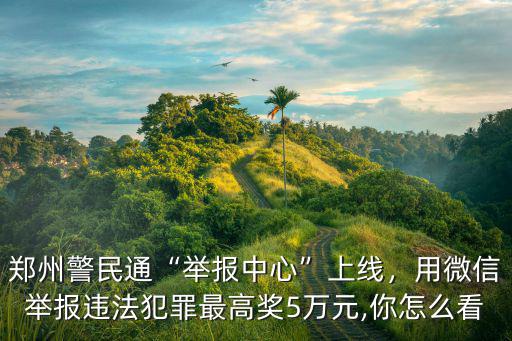 鄭州警民通“舉報中心”上線，用微信舉報違法犯罪最高獎5萬元,你怎么看