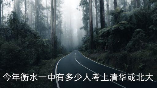 衡水高中有多少人考上清華,衡中考上那么多北大清華