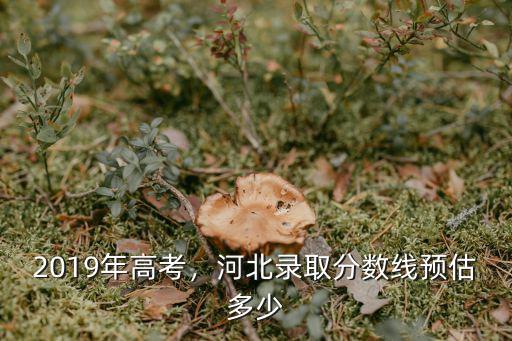 2019河北省文科一本錄取多少人,文科一本線超2分