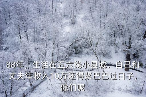 年收入10萬在荊門生活怎么樣,年收入均在10萬加