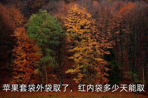 蘋果套袋外袋取了，紅內袋多少天能取