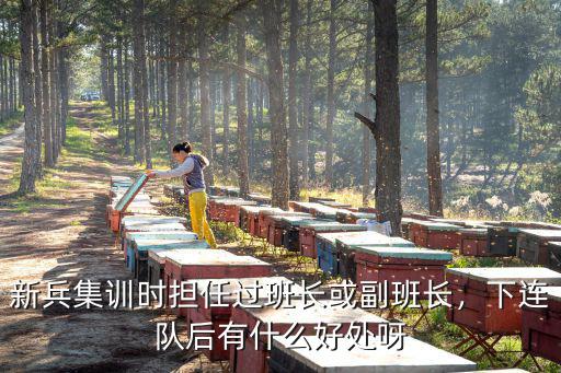 新兵集訓(xùn)時(shí)擔(dān)任過班長(zhǎng)或副班長(zhǎng)，下連隊(duì)后有什么好處呀