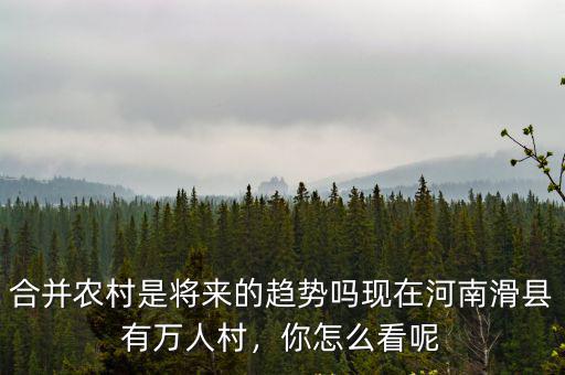合并農村是將來的趨勢嗎現在河南滑縣有萬人村，你怎么看呢