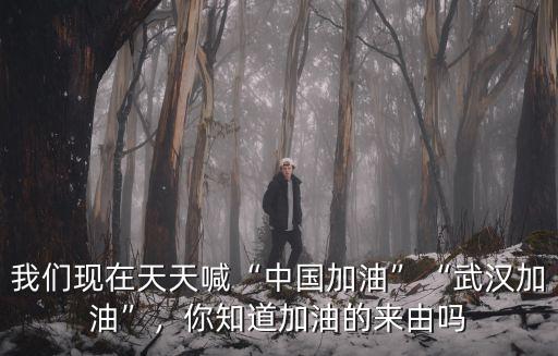 為武漢加油的臺詞怎么寫,我們都在為武漢加油