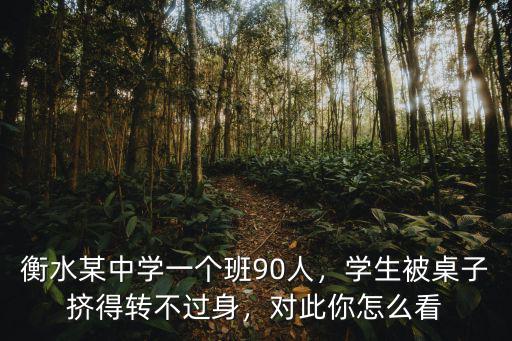 衡水某中學一個班90人，學生被桌子擠得轉不過身，對此你怎么看