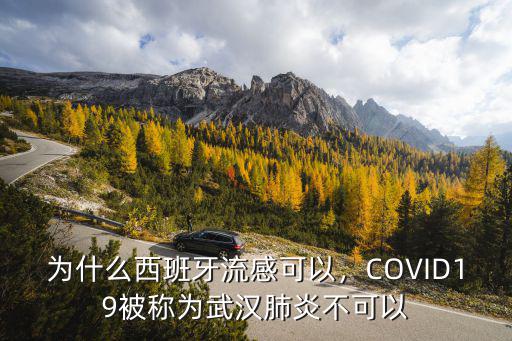 為什么西班牙流感可以，COVID19被稱為武漢肺炎不可以