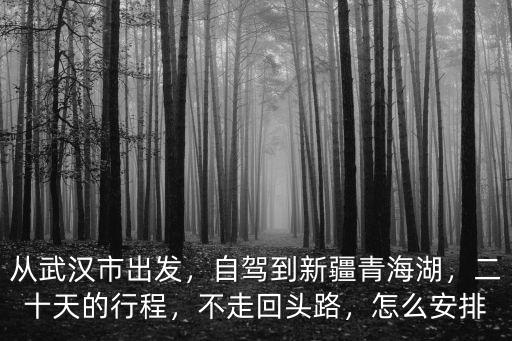 武漢到青海湖自駕游怎么走,武漢至青海湖自駕游