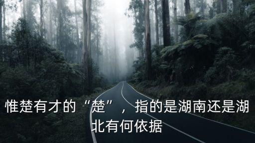 惟楚有才的“楚”，指的是湖南還是湖北有何依據
