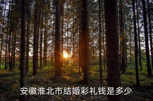 淮北農村婚慶多少錢一天,農村結婚賀禮一般給多少錢啊