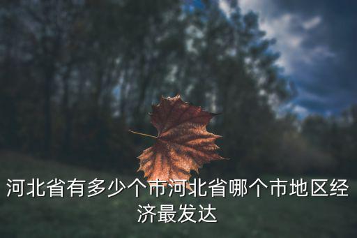 河北省有多少個市河北省哪個市地區(qū)經(jīng)濟最發(fā)達