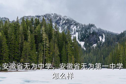 安徽省無為縣第一中學需要多少分,安徽省無為第一中學怎么樣