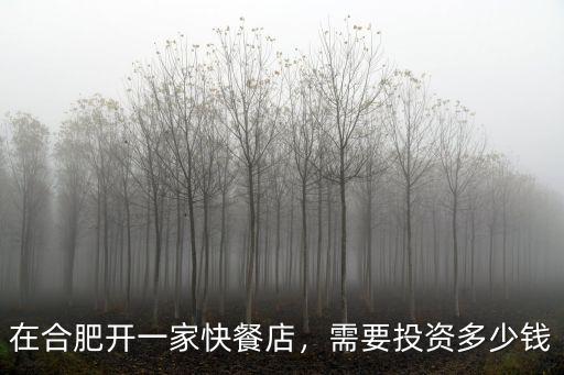 在合肥一般三個人吃飯要多少錢,在合肥開一家快餐店