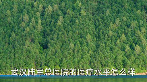 武漢佰美斯醫療怎么樣,武漢的醫療水平怎么樣