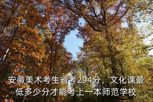 安徽美術考生省考294分，文化課最低多少分才能考上一本師范學校