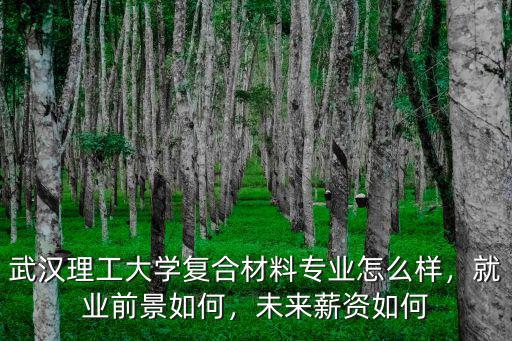 武漢理工大學雷德明怎么樣,武漢理工大學口碑怎么樣