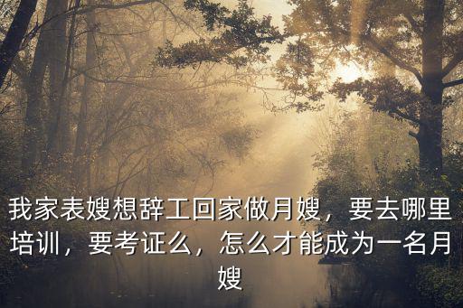 我家表嫂想辭工回家做月嫂，要去哪里培訓，要考證么，怎么才能成為一名月嫂