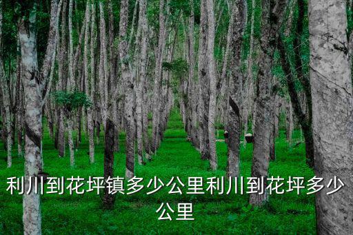 利川到邯鄲多少公里,利川到花坪多少公里